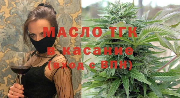индика Чекалин