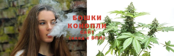 гидра Чердынь