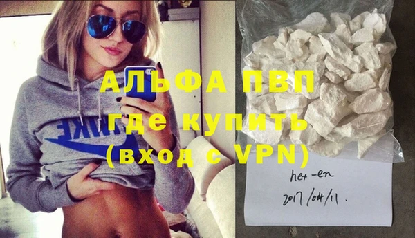 индика Чекалин