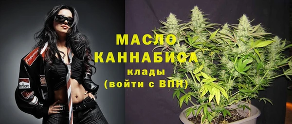 гидра Чердынь