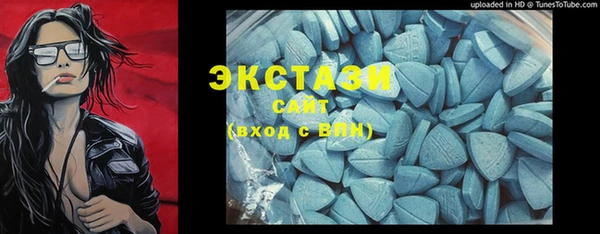 гидра Чердынь