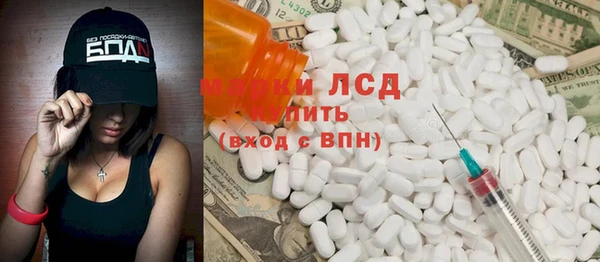 гидра Чердынь